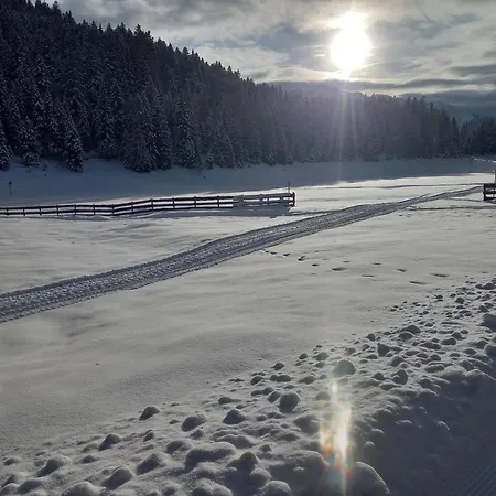 Sterzingerhof *