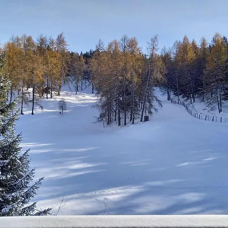 Sterzingerhof 公寓 Mösern