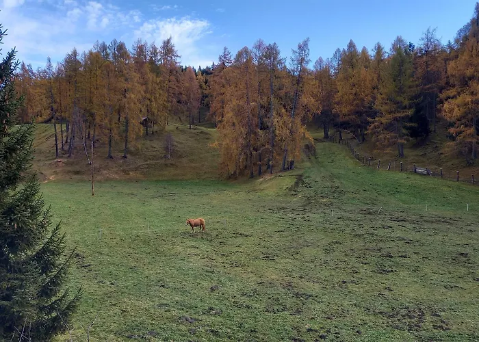 Sterzingerhof Apartment Mosern (Telfs)